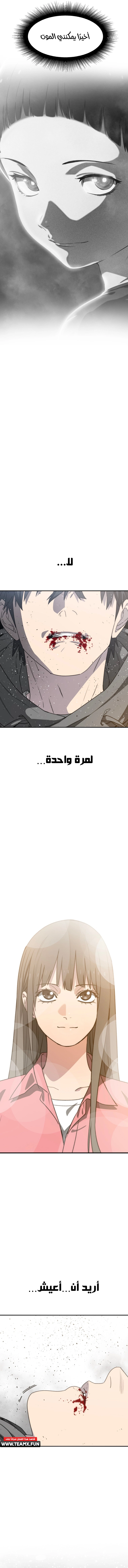 صفحة 14