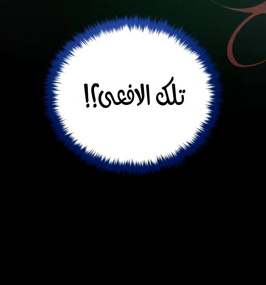 صفحة 17