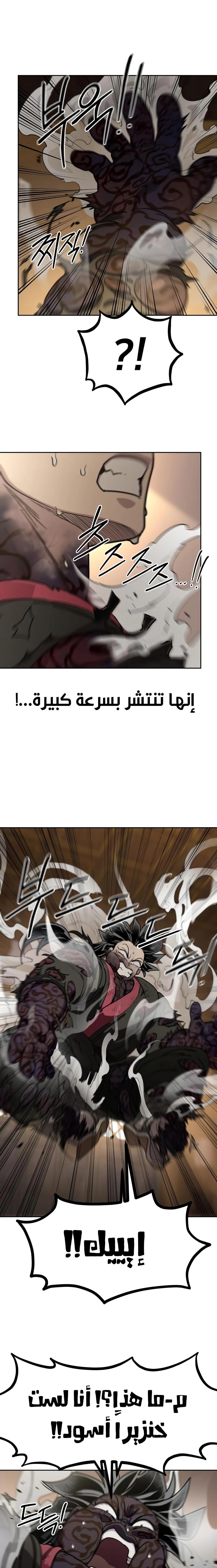 صفحة 13