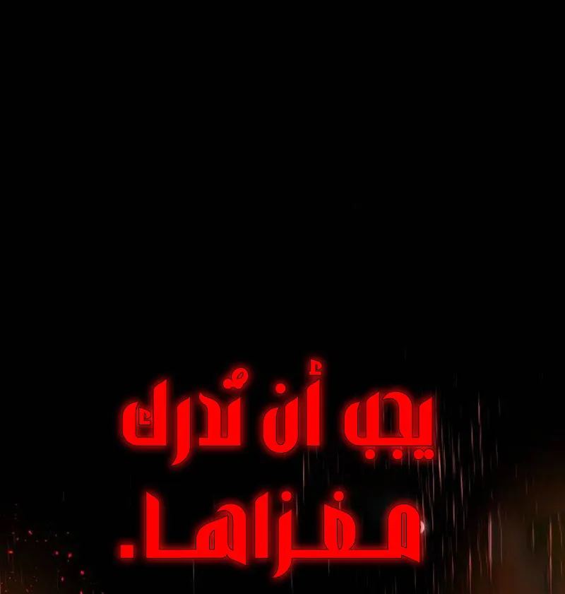 صفحة 13