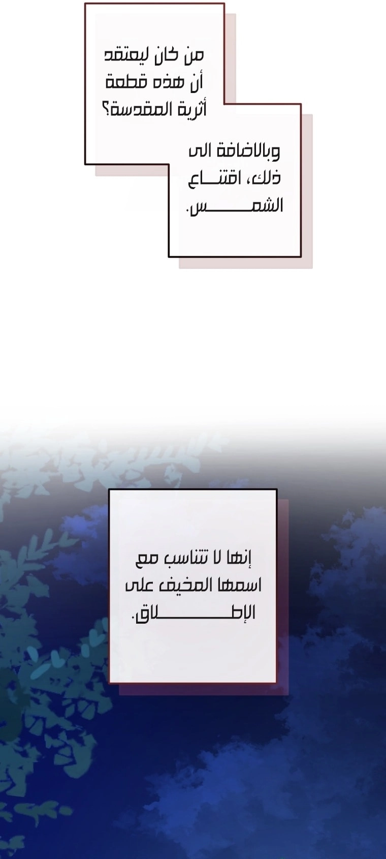 صفحة 13