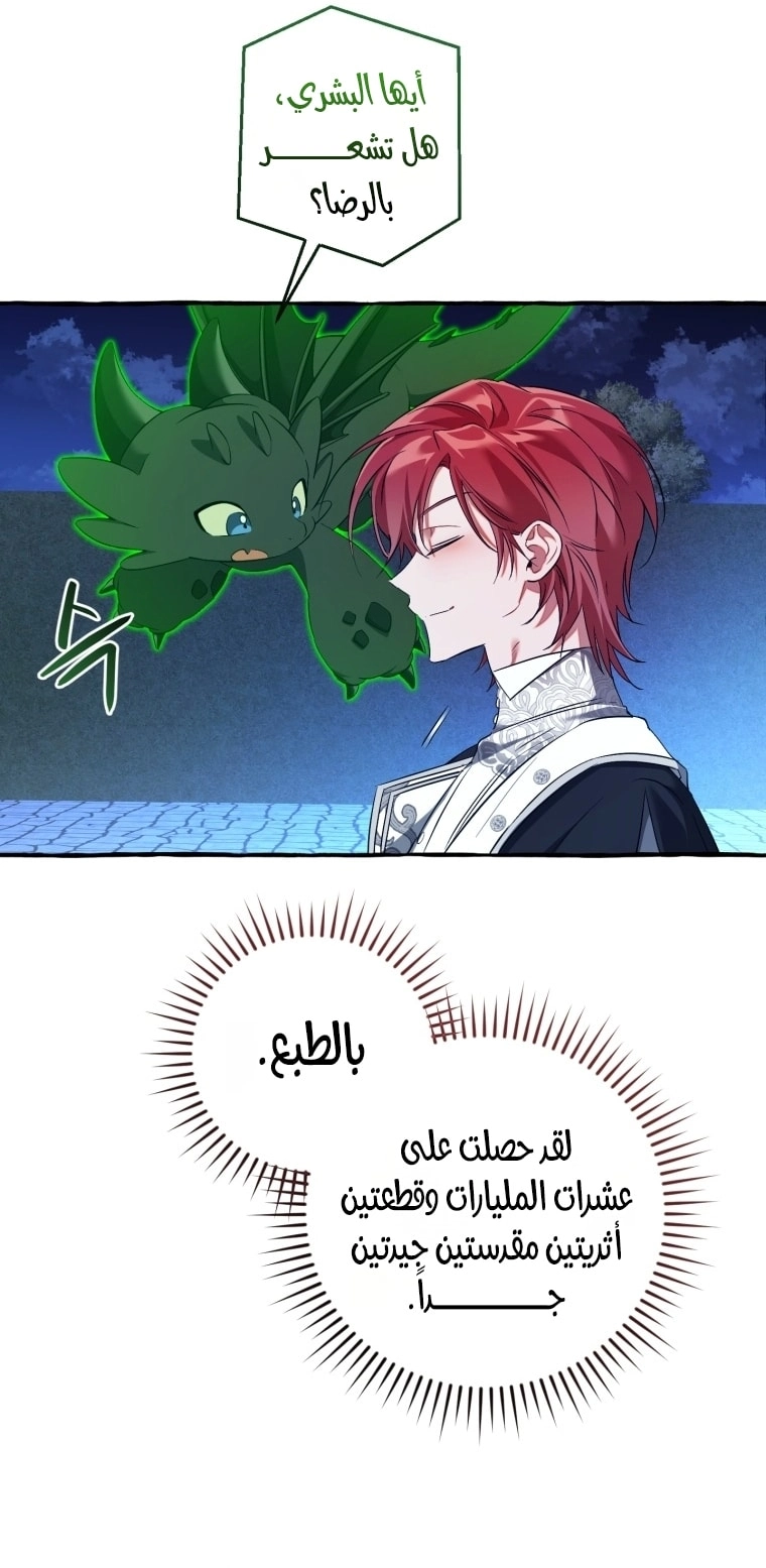 صفحة 17