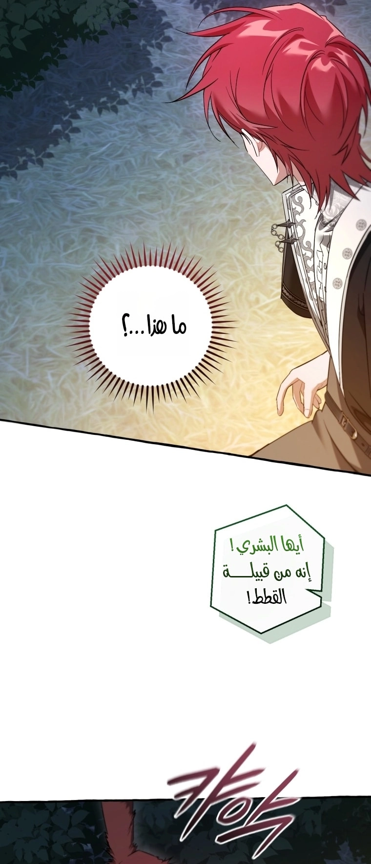 صفحة 31