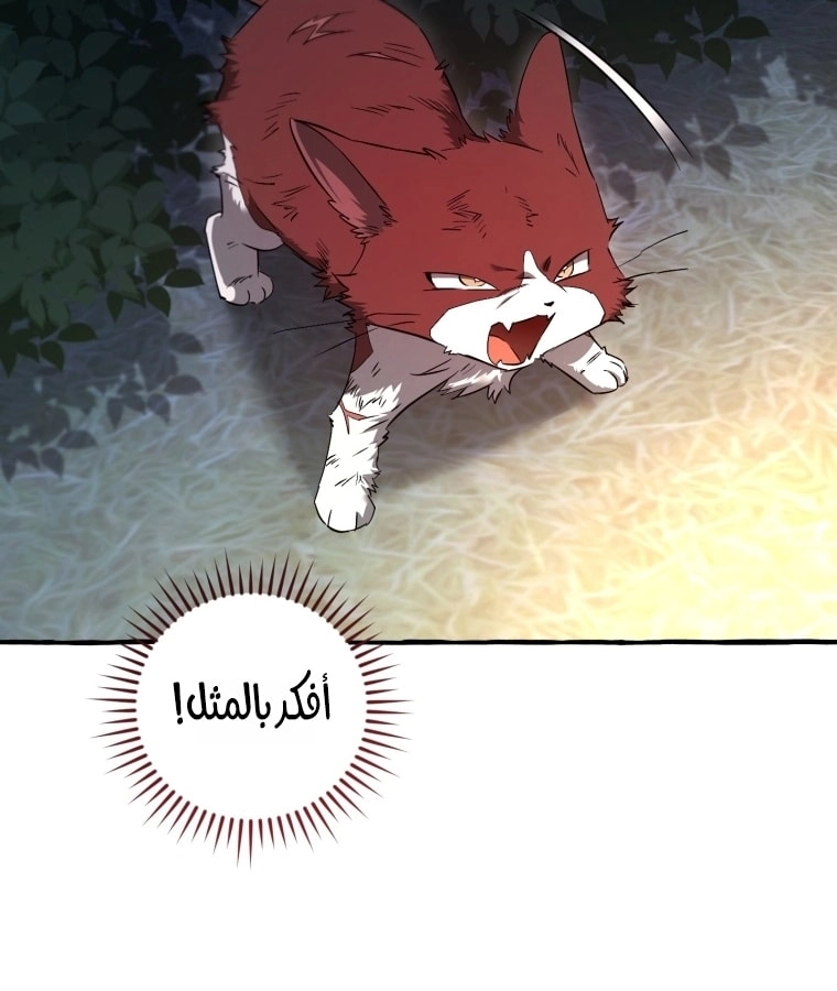 صفحة 32