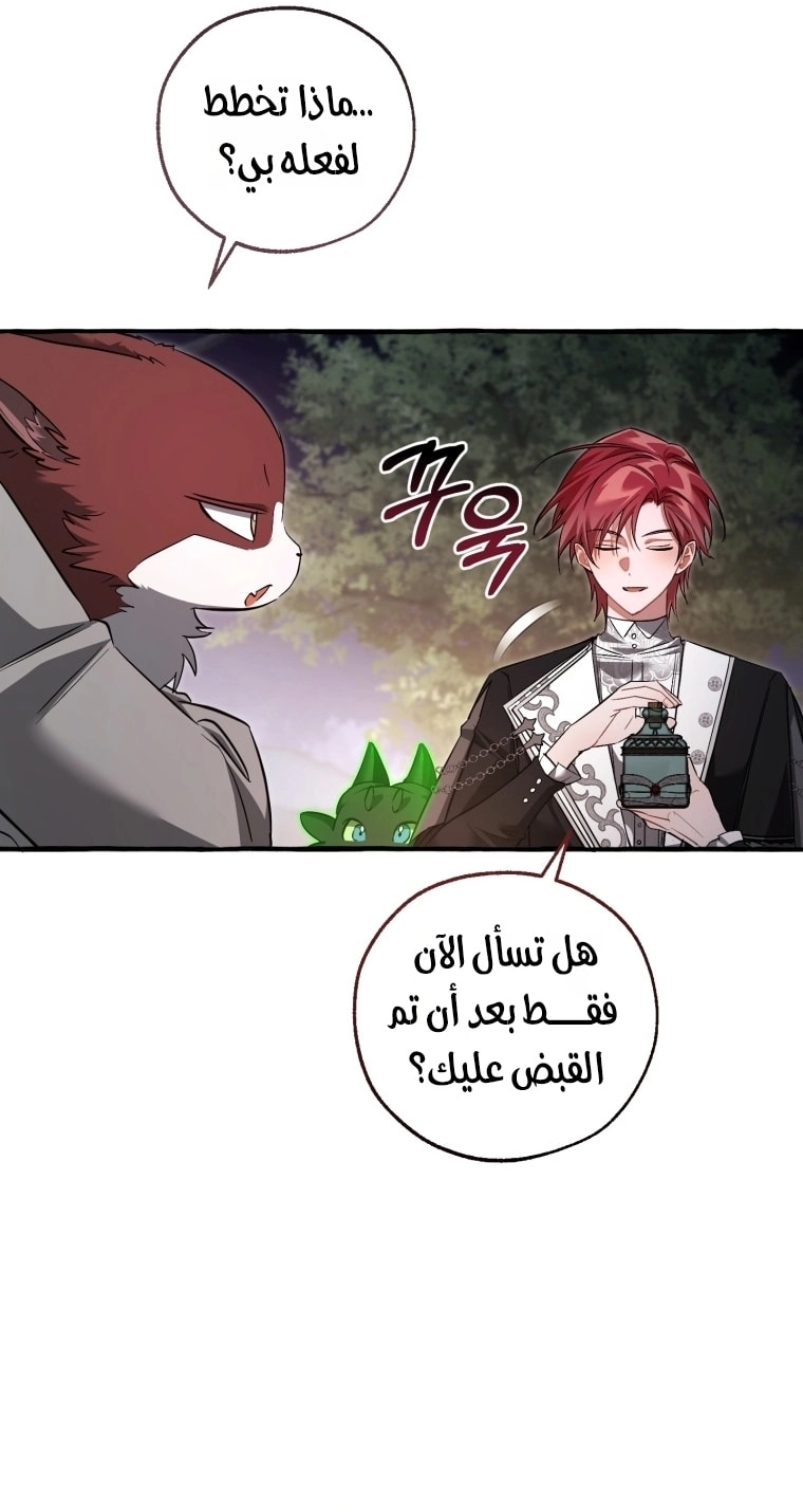 صفحة 42
