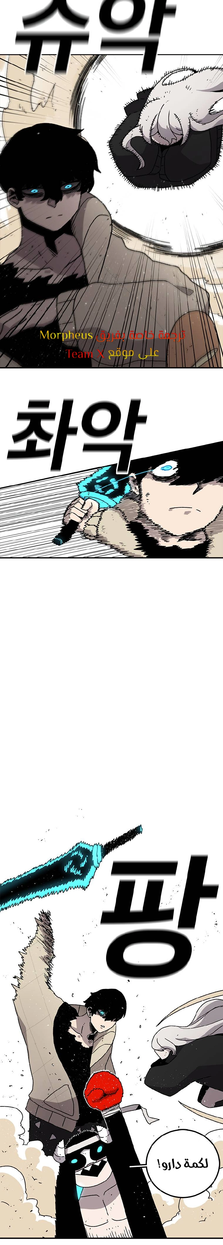 صفحة 13