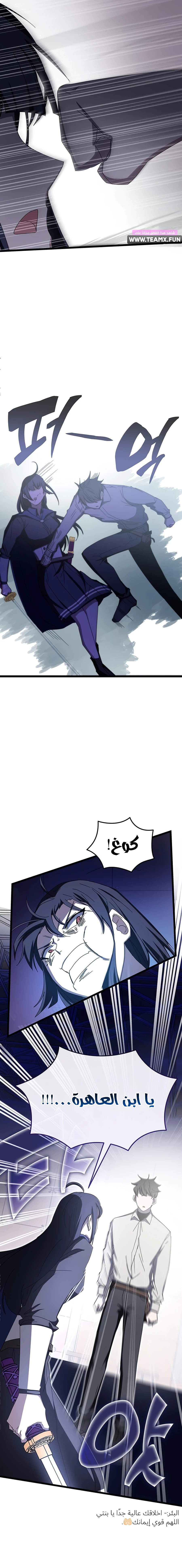 صفحة 17