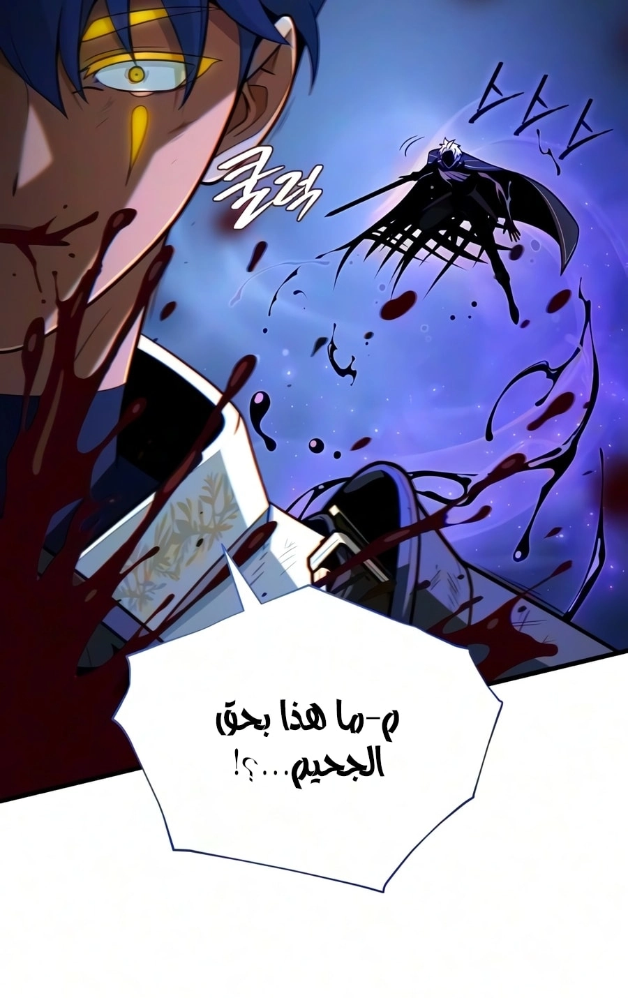 صفحة 13