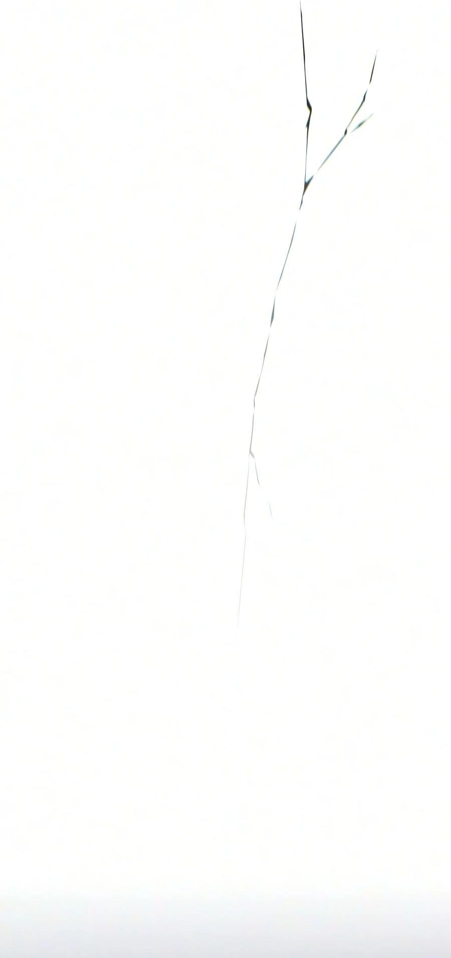 صفحة 53