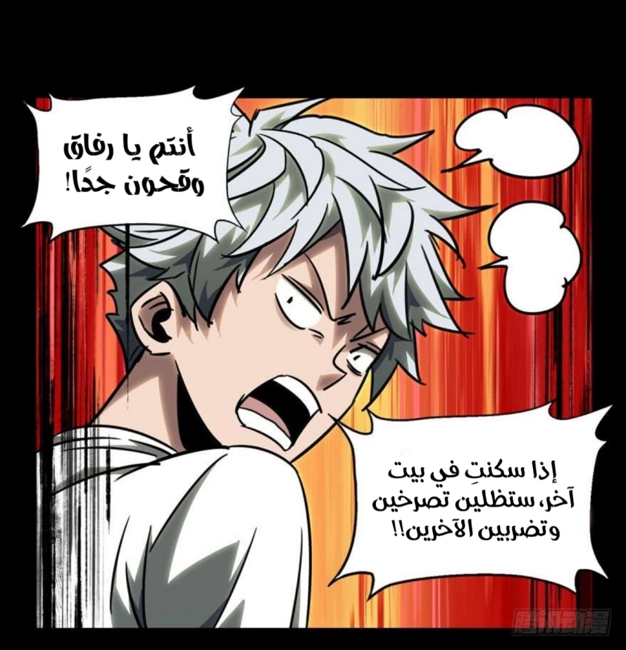 صفحة 17