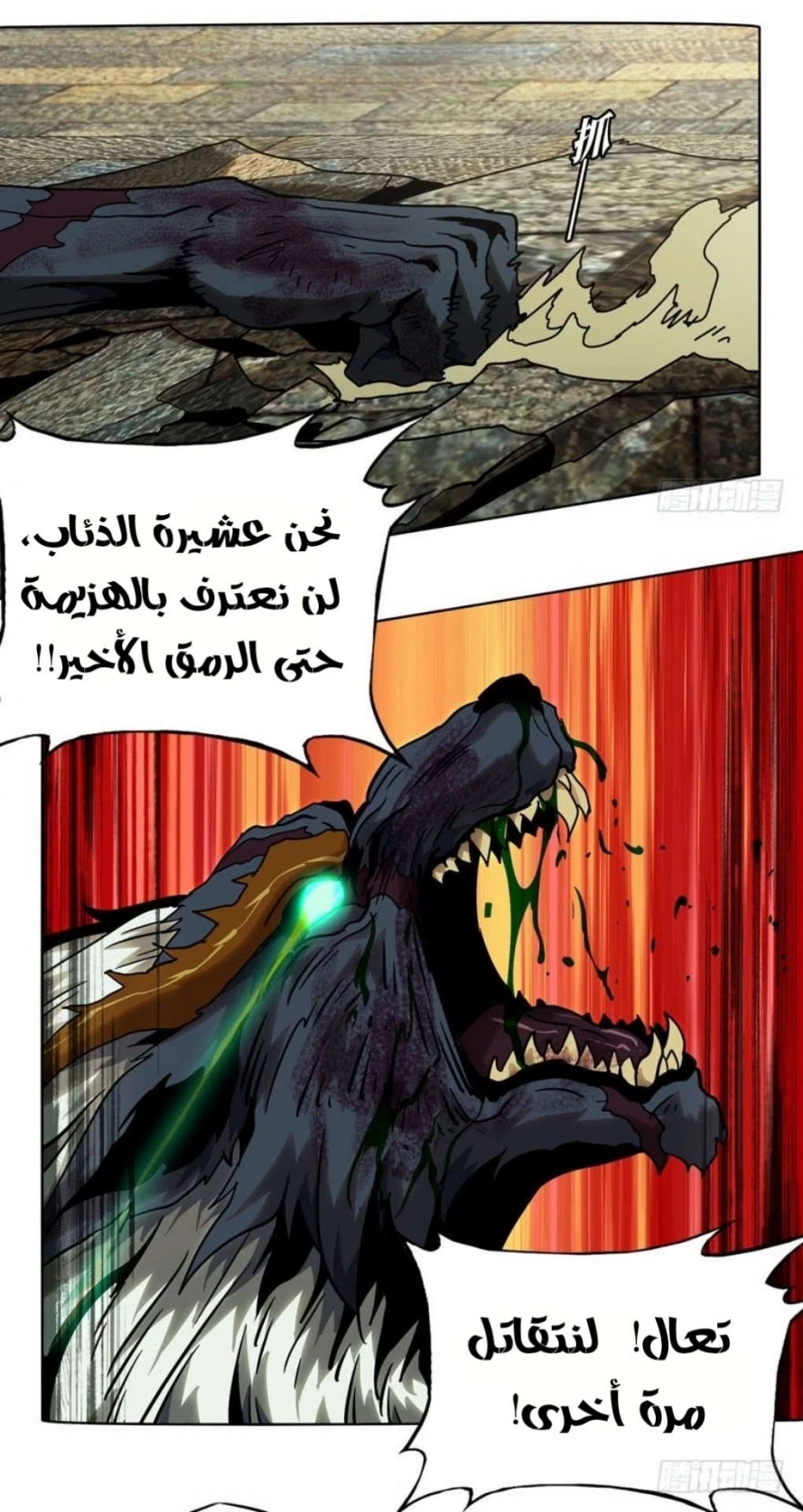 صفحة 19