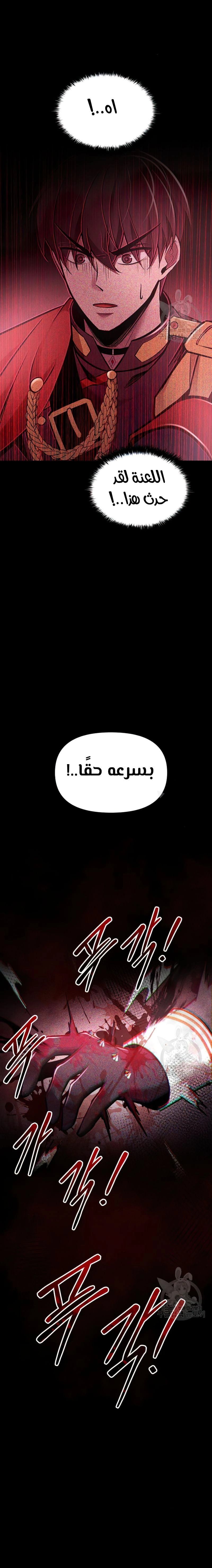 صفحة 13