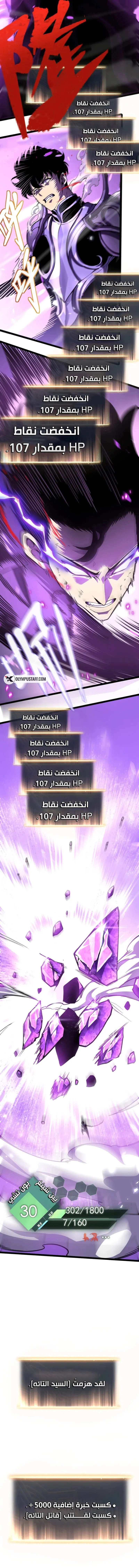 صفحة 13