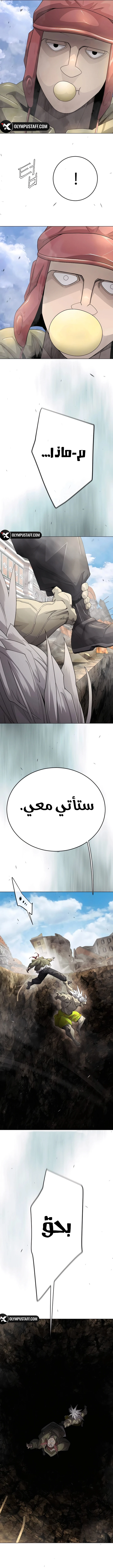 صفحة 13