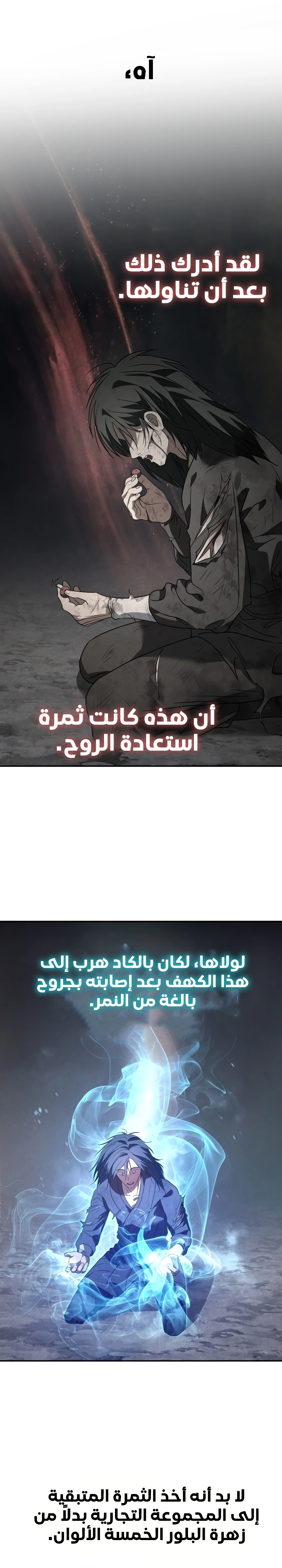 صفحة 13