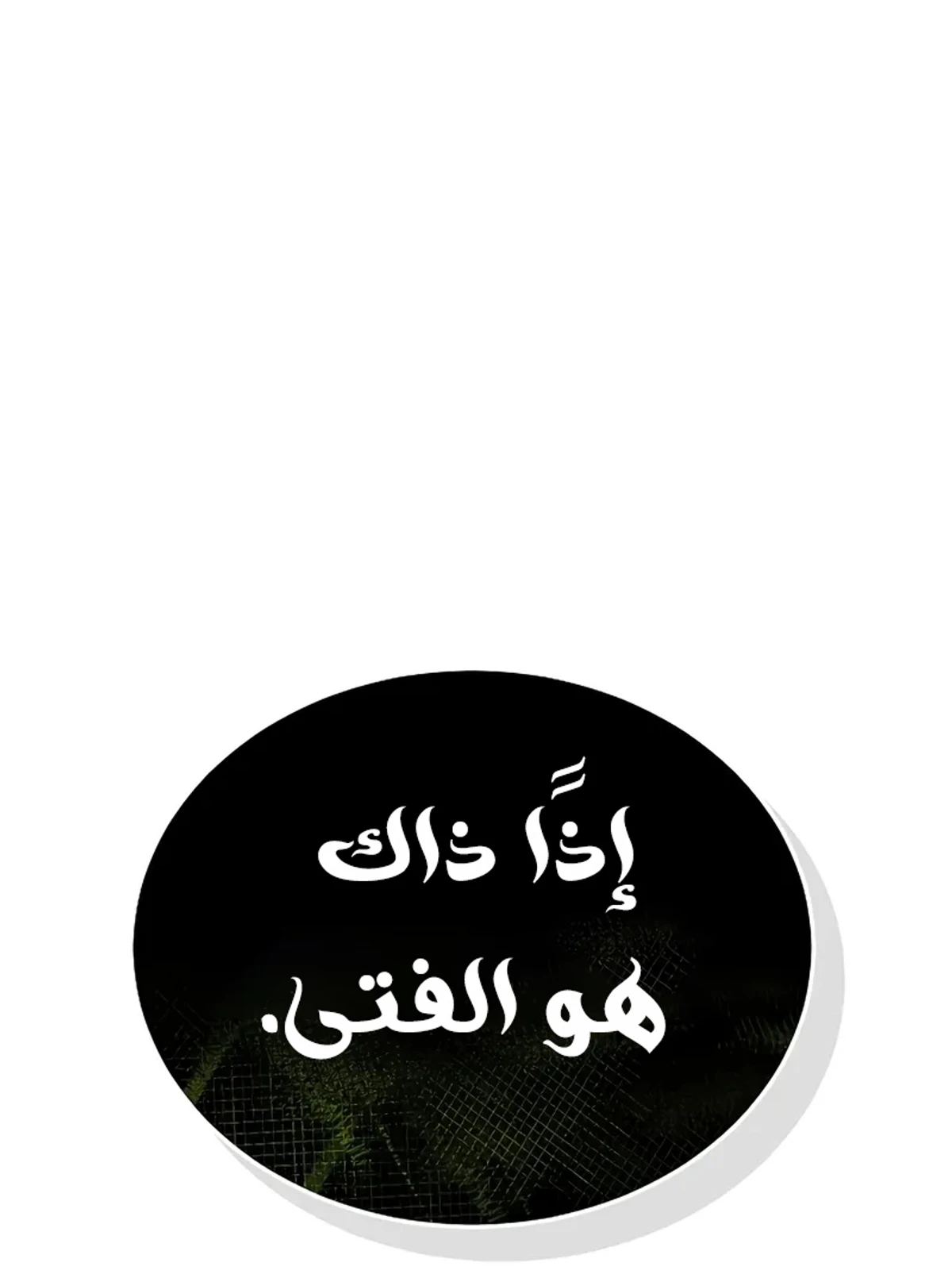 The Divine Demon’s Grand Ascension الفصل 15 — صفحة 41