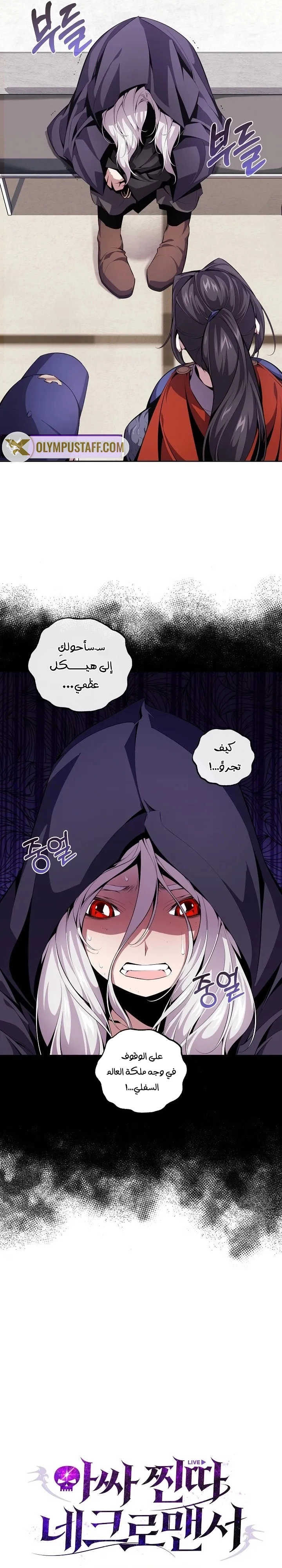 Outcast Necromancer الفصل 2 — صفحة 12