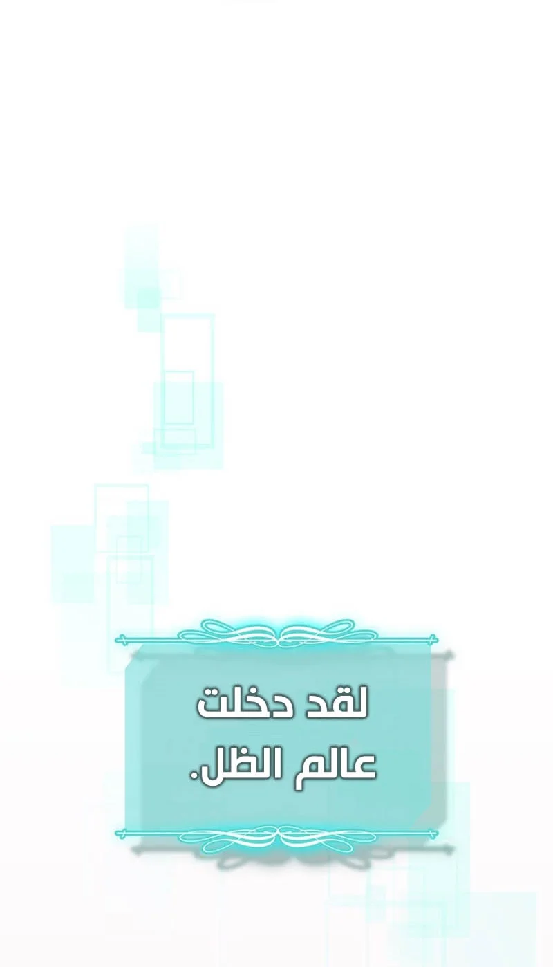 A Returner's Magic Should Be Special الفصل 251 — صفحة 2