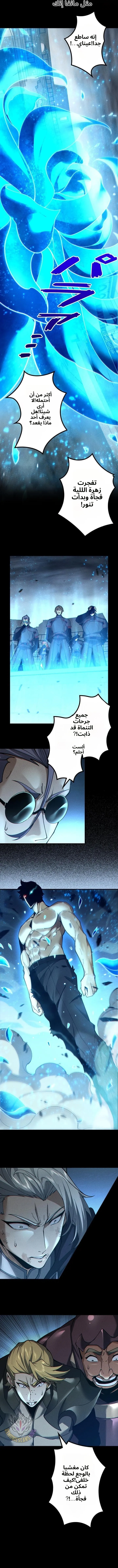 Absolute Domination at Level 0 Using My Analysis Skill الفصل 50 — صفحة 1