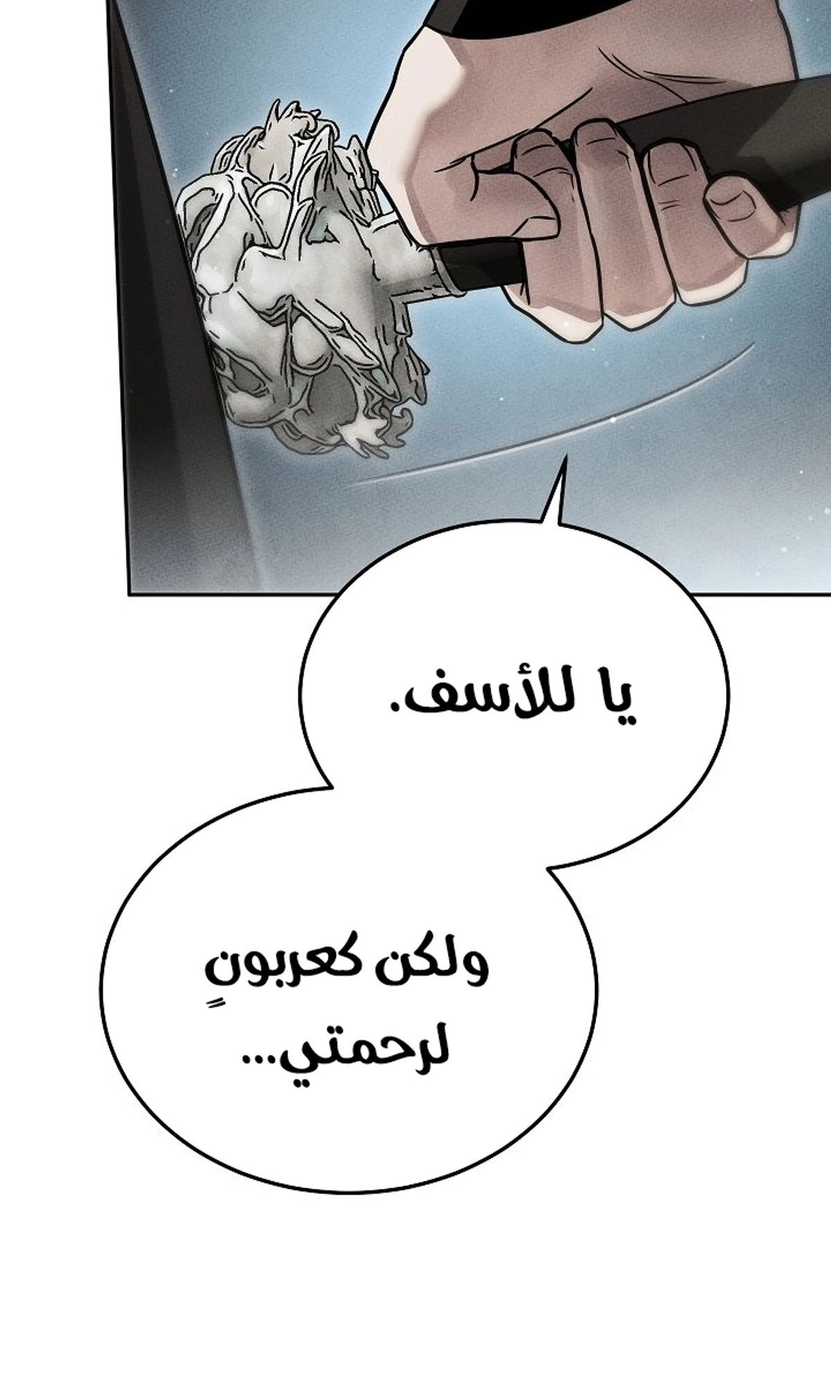The Divine Demon’s Grand Ascension الفصل 45 — صفحة 12