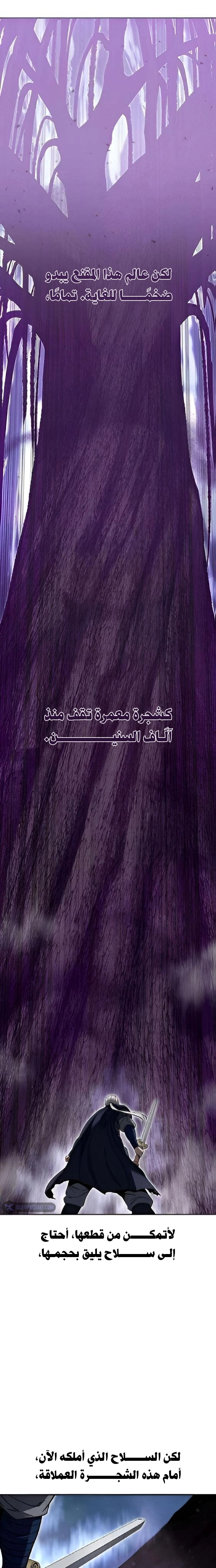 Mount Hua Sect’s Greatest Genius الفصل 66 — صفحة 9