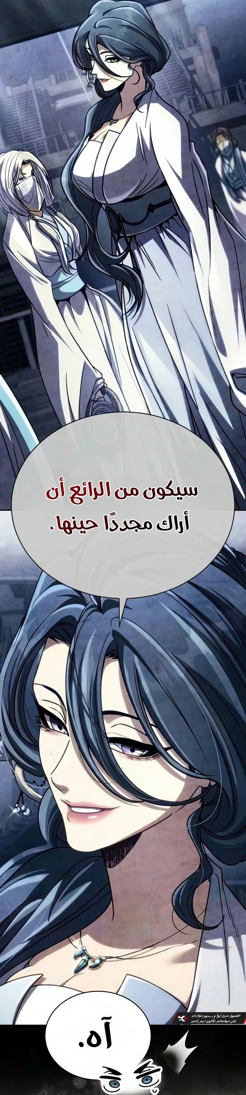 Reincarnation of the Fist King الفصل 66 — صفحة 14