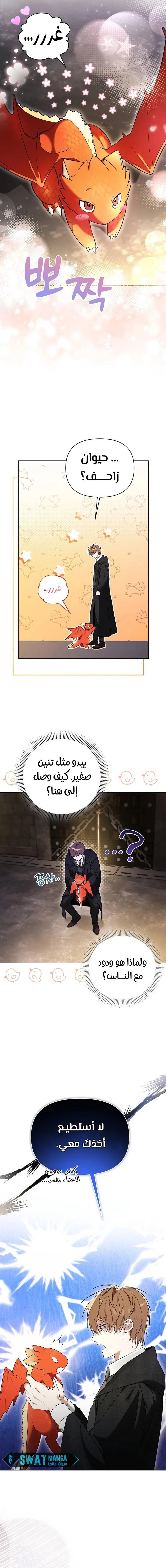 The Academy’s Genius Tamer الفصل 1 — صفحة 16