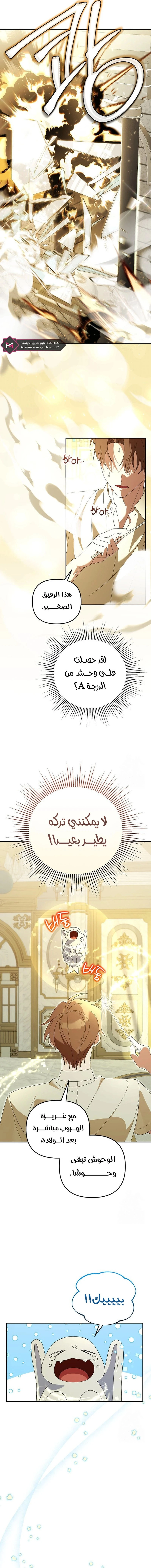 The Academy’s Genius Tamer الفصل 28 — صفحة 10