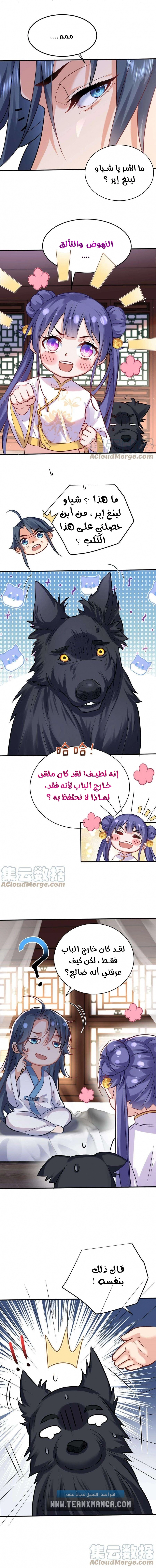 Am I Invincible الفصل 38 — صفحة 5