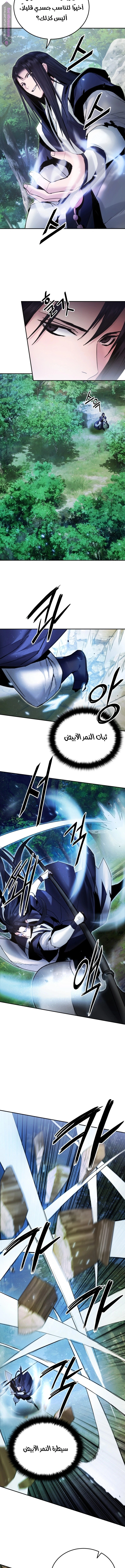 Dark and Light Martial Emperor الفصل 38 — صفحة 13