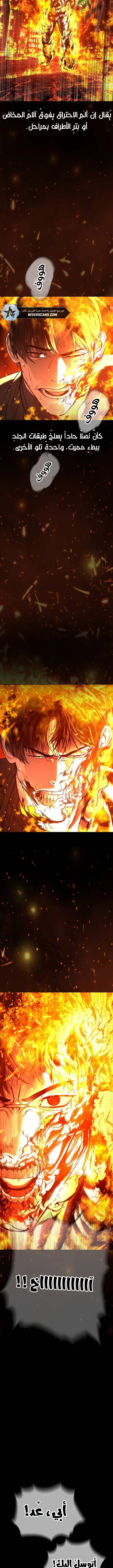 Killer Pietro الفصل 117 — صفحة 14