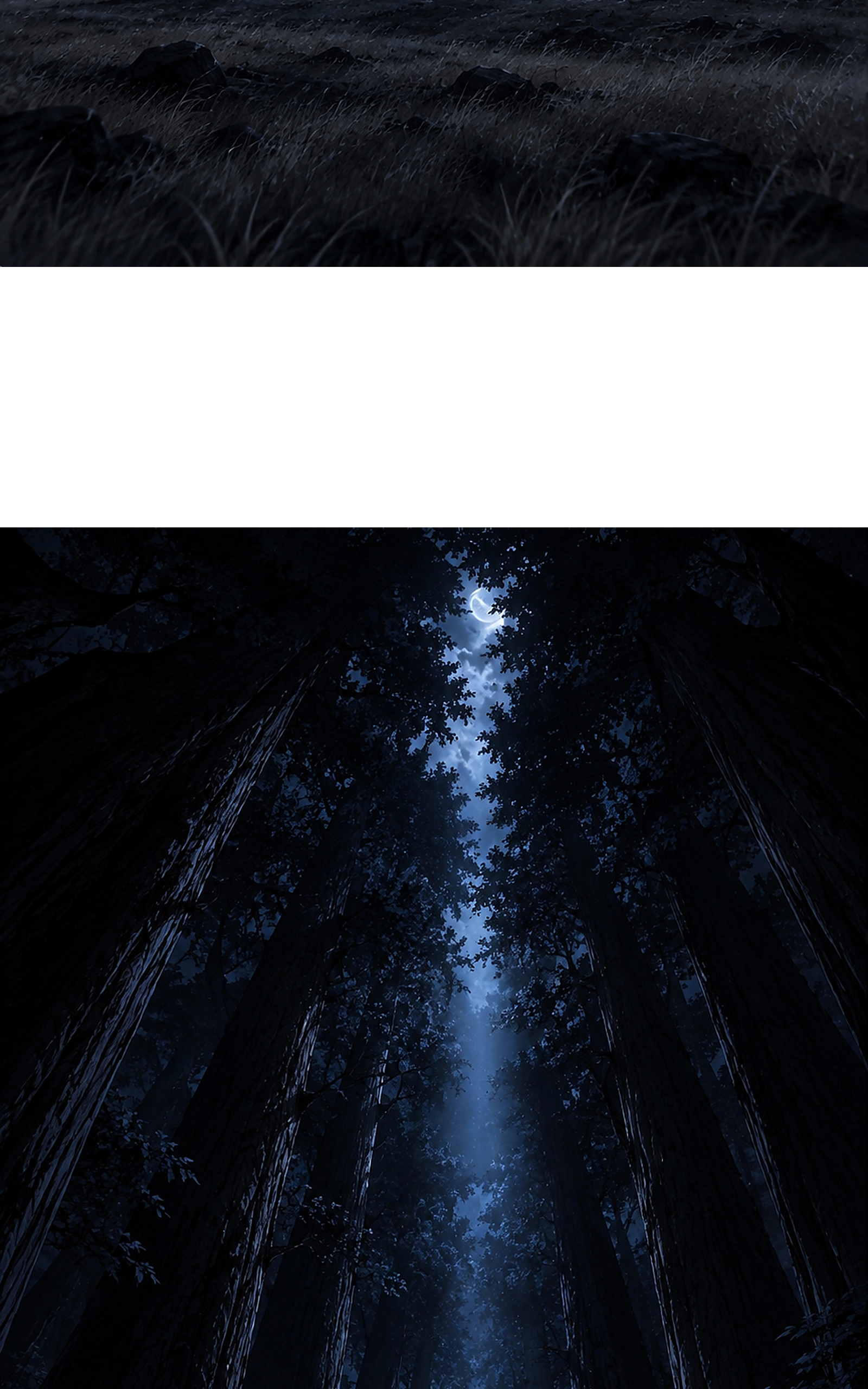 سيد الحقيقة Lord of the truth الفصل 18 — صفحة 28