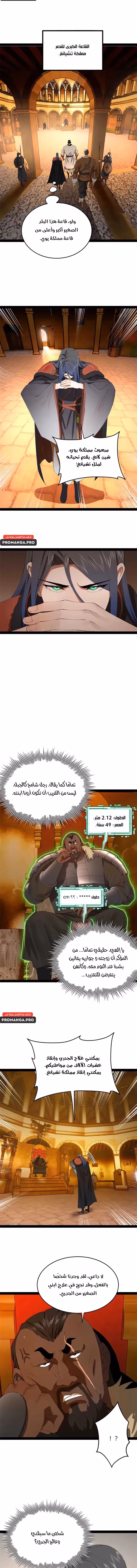 The Strongest Son In Law in History الفصل 208 — صفحة 3