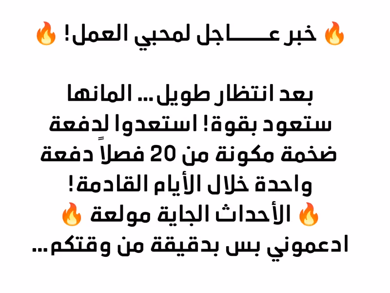 The Strongest Son In Law in History الفصل 295.5 — صفحة 1