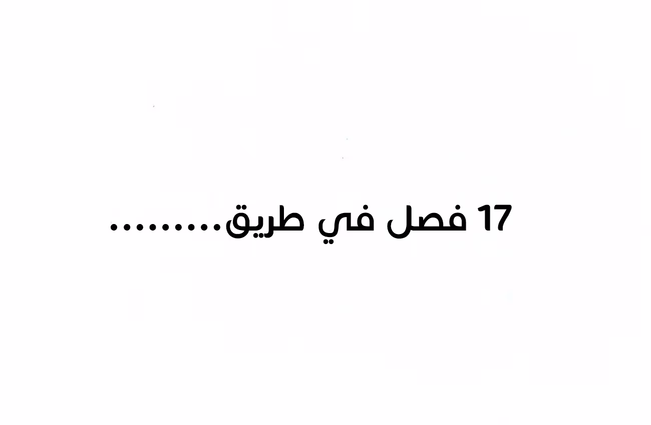 The Strongest Son In Law in History الفصل 313.5 — صفحة 1
