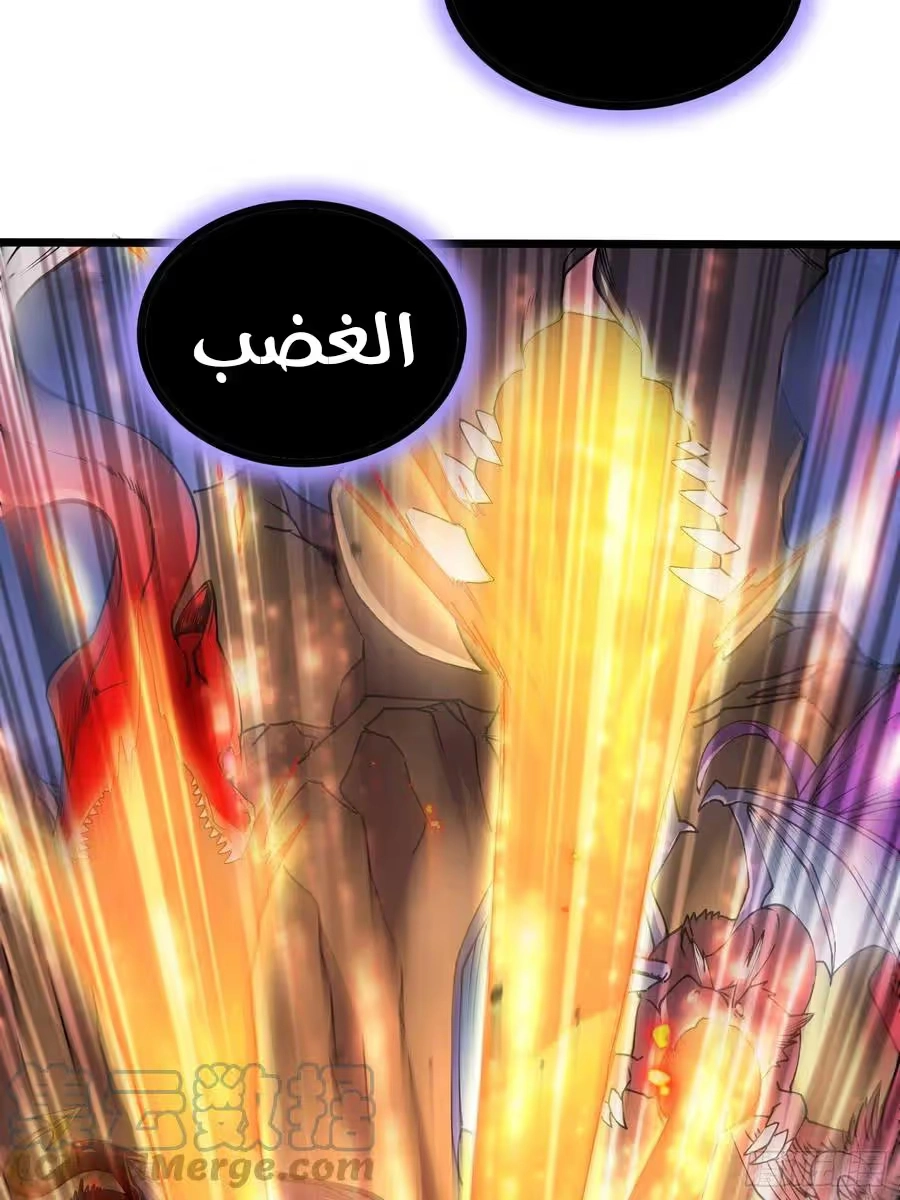 Son-in-Law Does Cheap Cultivation الفصل 256 — صفحة 14