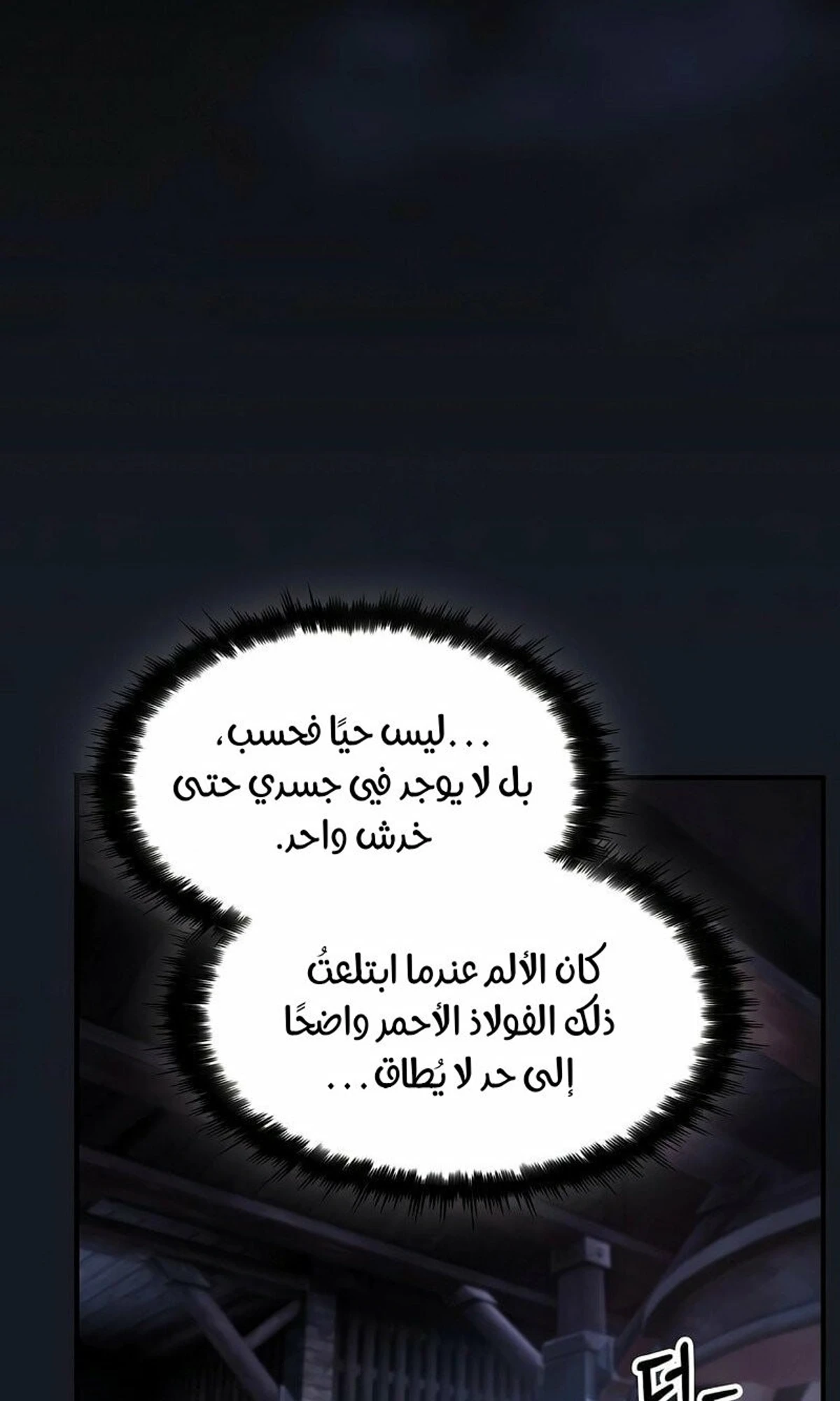 سيد السيف ملتهم السيوف chapter 4 — page 8