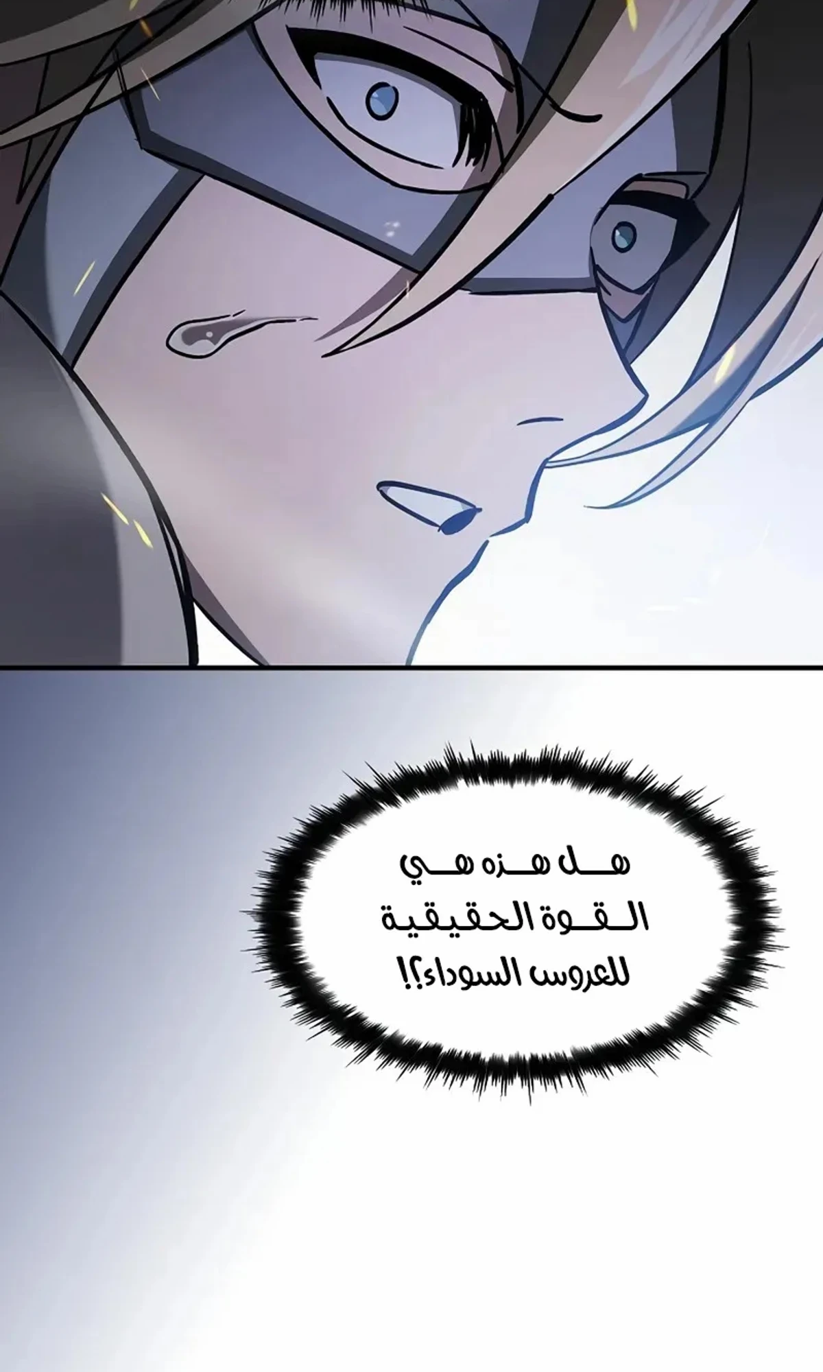 سيد السيف ملتهم السيوف chapter 19 — page 96