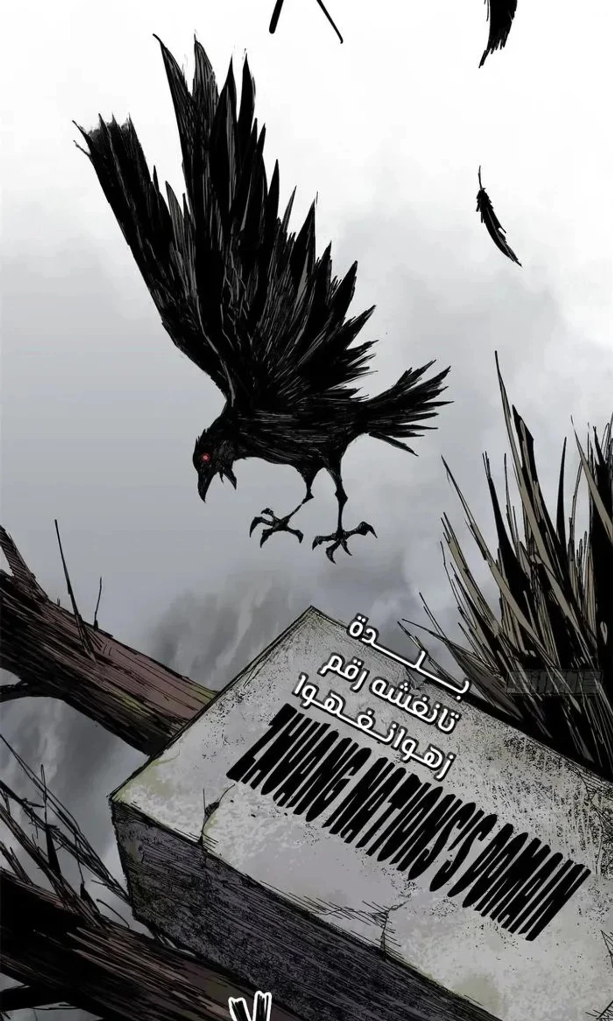 Crimson Heart Wanderer chapter 17 — page 31