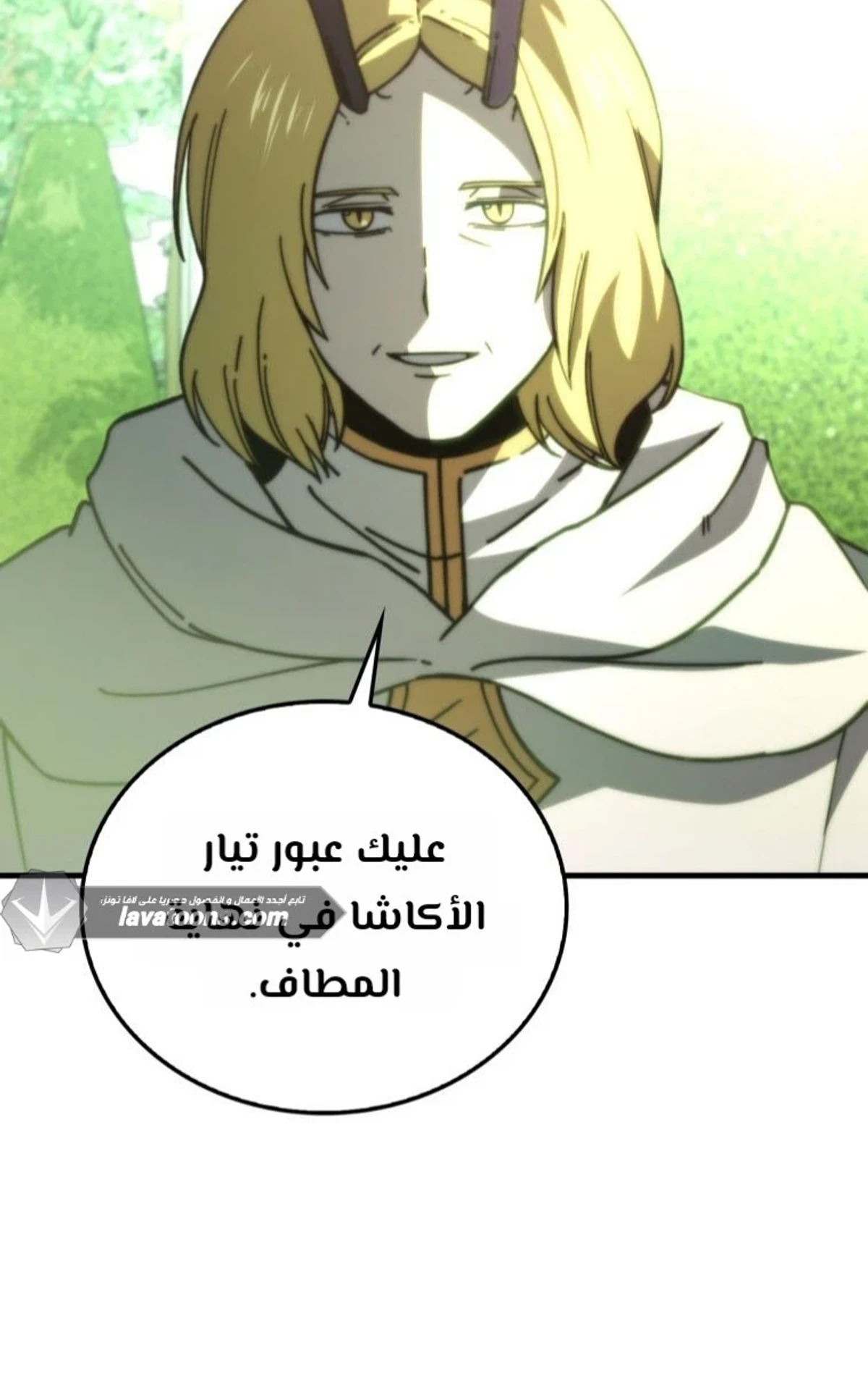 Demon Lord Leveling Up With Martial Arts (مترجم) الفصل 168 — صفحة 12
