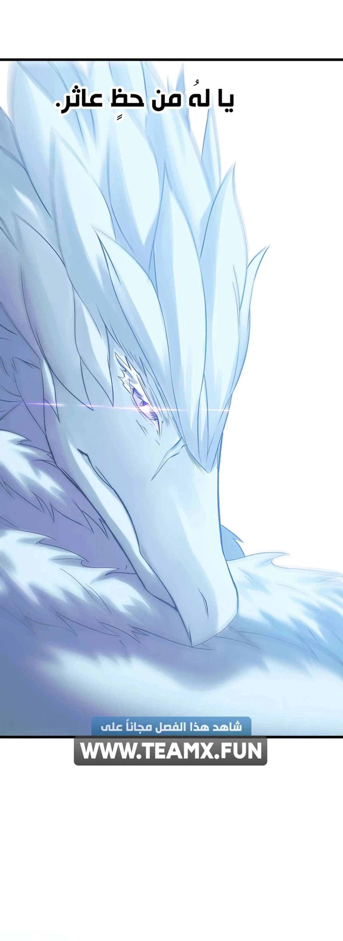 Survival Story of a Sword King in a Fantasy World chapter 158 — page 9