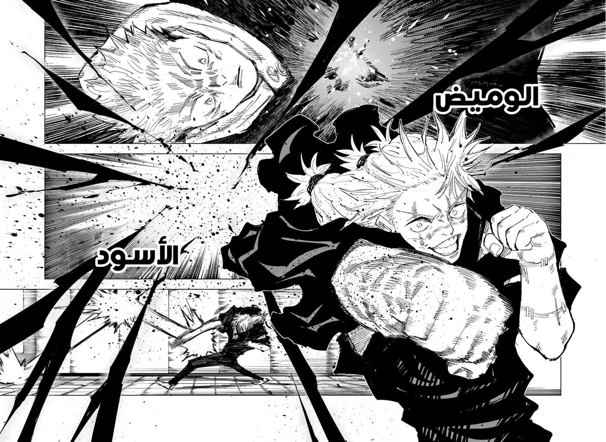 جوجوتسو كايسن الفصل 126 — صفحة 9