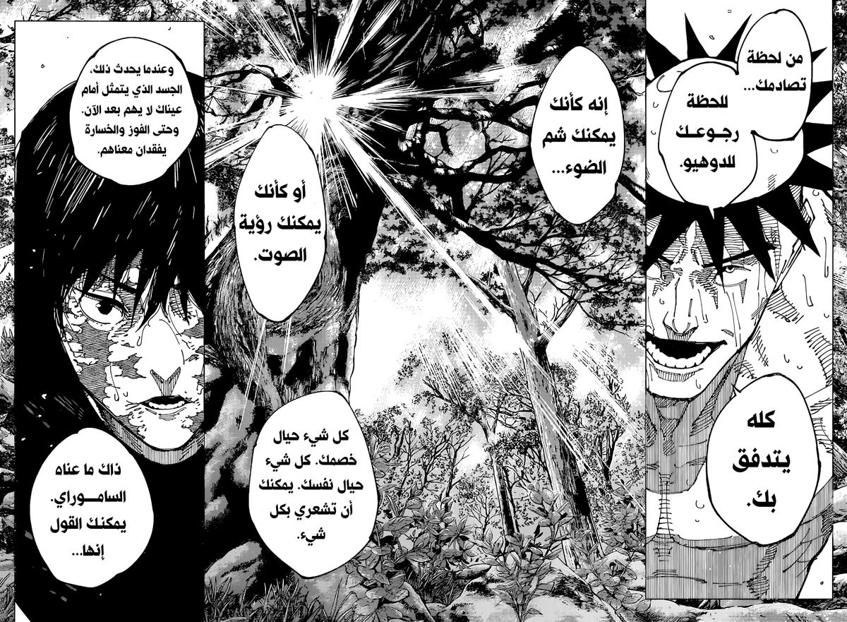 جوجوتسو كايسن الفصل 196 — صفحة 14