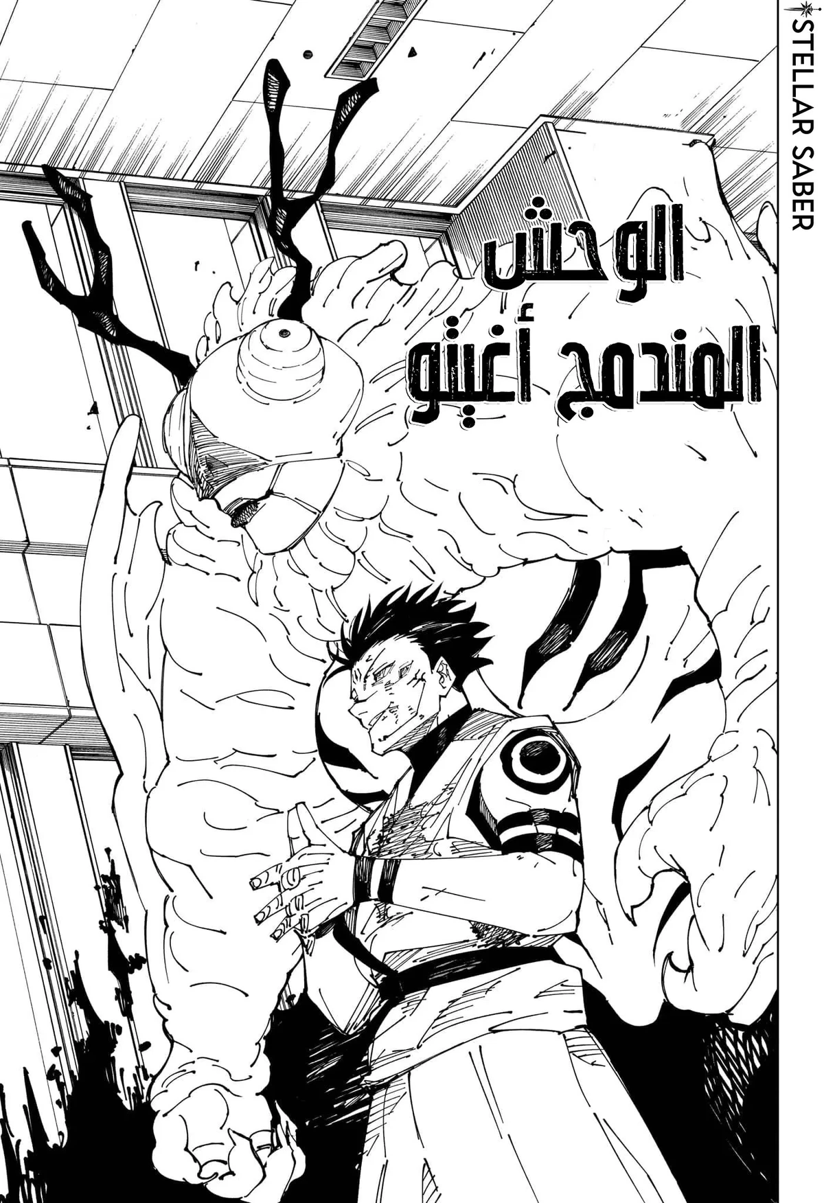 جوجوتسو كايسن الفصل 233 — صفحة 13