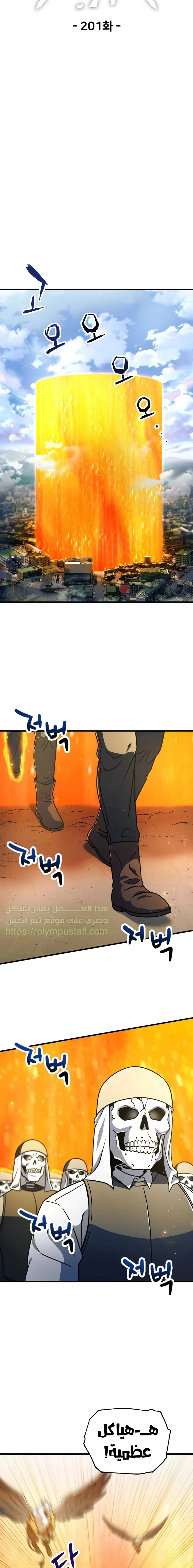 اللاعب الذي لا يستطيع رفع مستواه chapter 201 — page 6