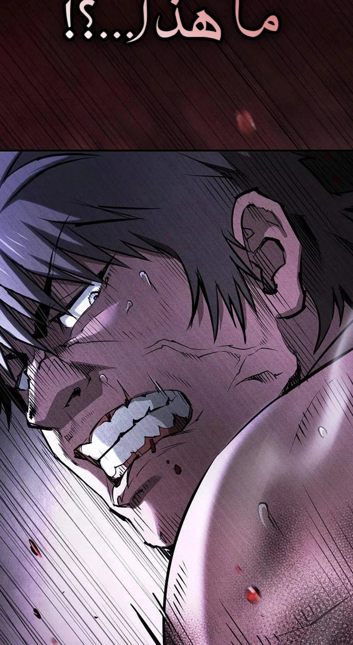 A Spy’s Survival in the Demonic Cult chapter 58 — page 47