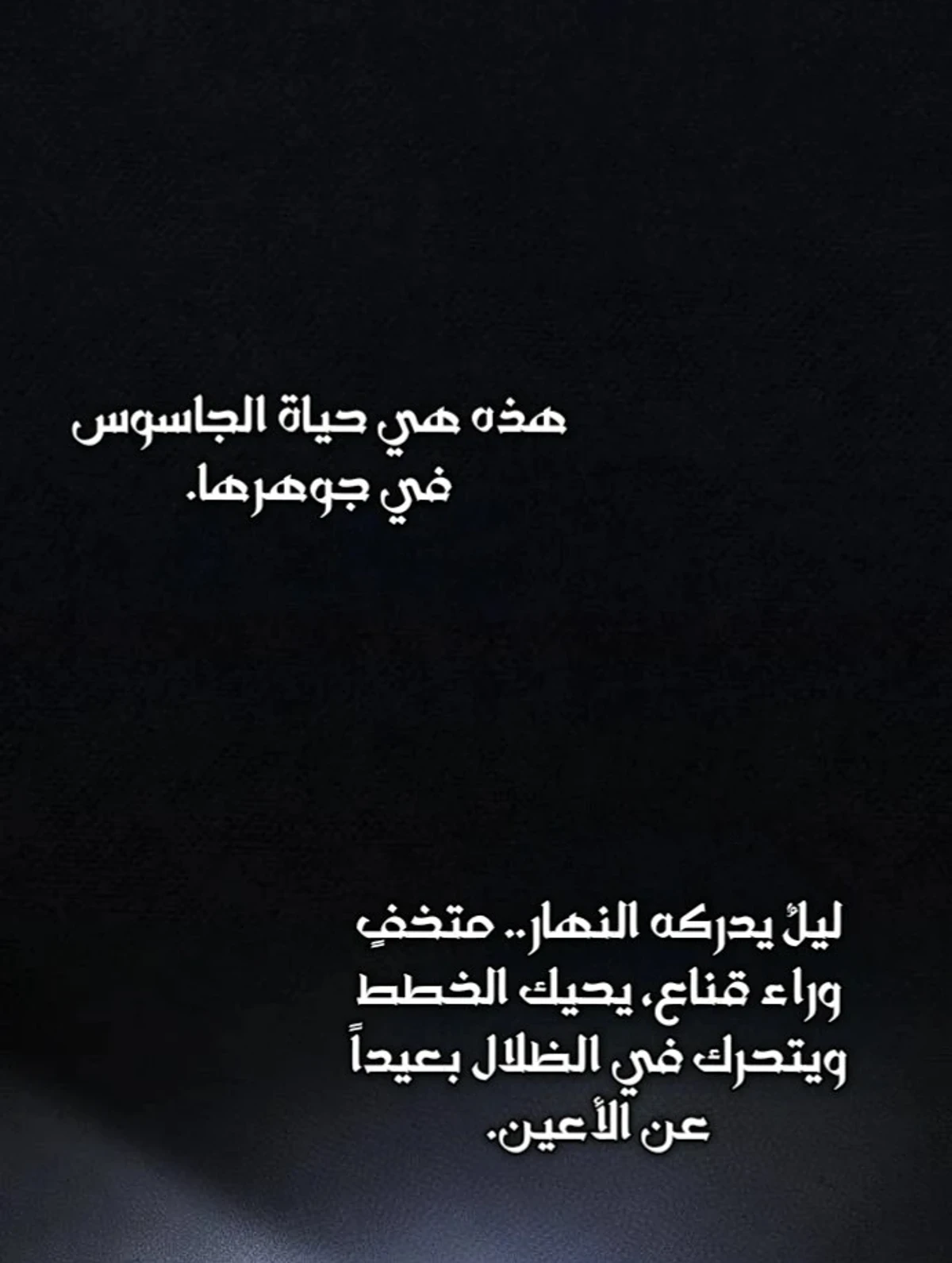 A Spy’s Survival in the Demonic Cult الفصل 60 — صفحة 73