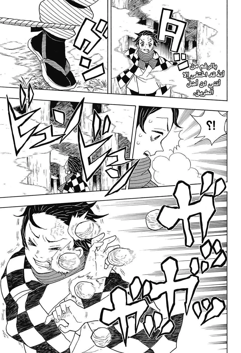 Kimetsu no Yaiba الفصل 3 — صفحة 17