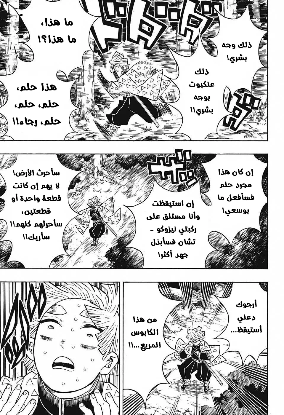 Kimetsu no Yaiba الفصل 32 — صفحة 13