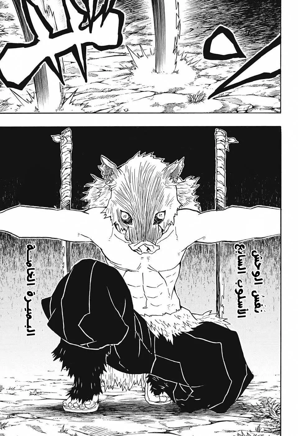 Kimetsu no Yaiba الفصل 29 — صفحة 17